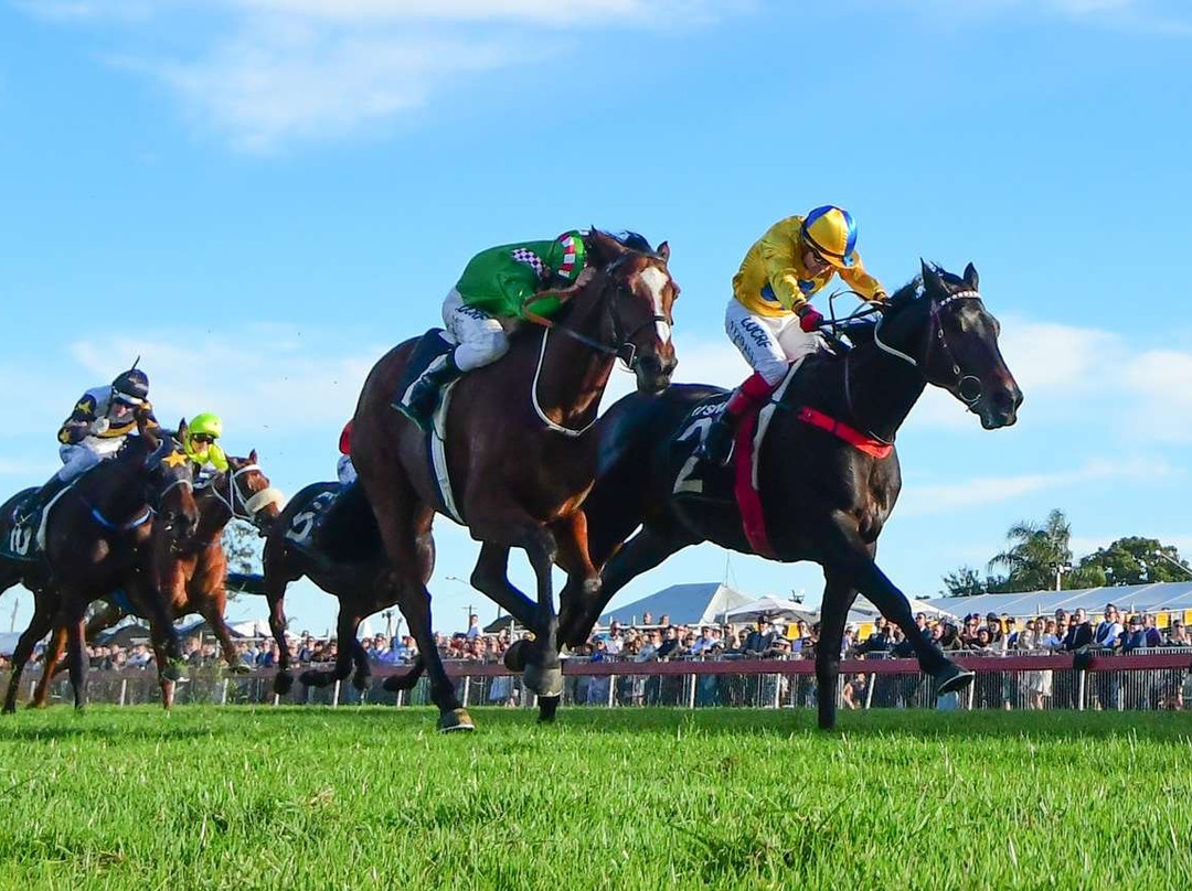 Ipswich Turf Club Inc-伊普斯威奇必去景点