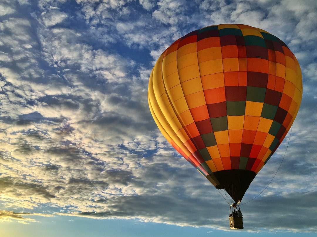 Elevated Ballooning景点图片