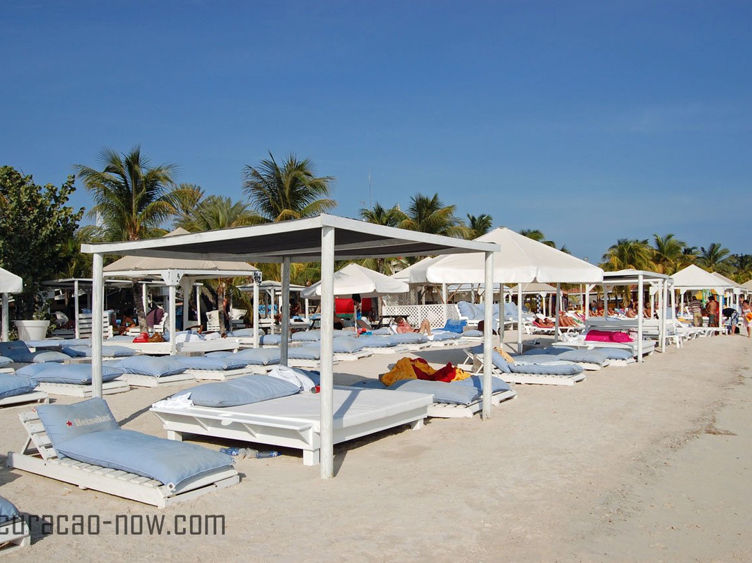 The Natural Private Tours-威廉斯塔德必去景点