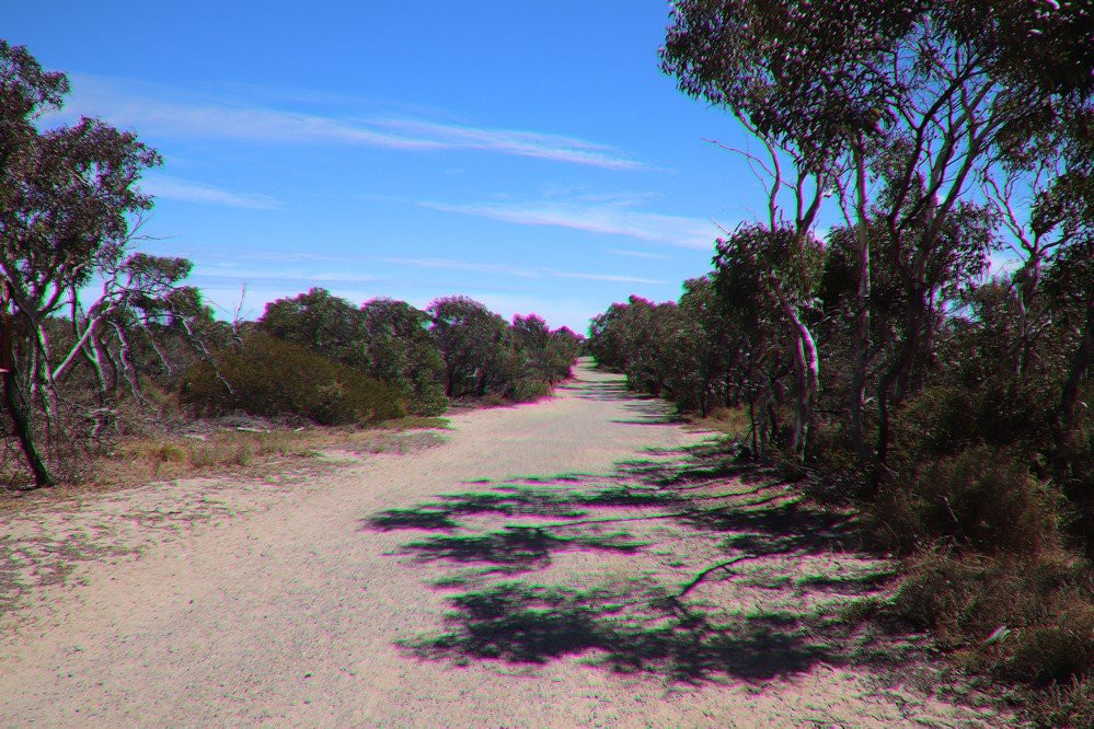 Aldinga Scrub Conservation Park景点图片