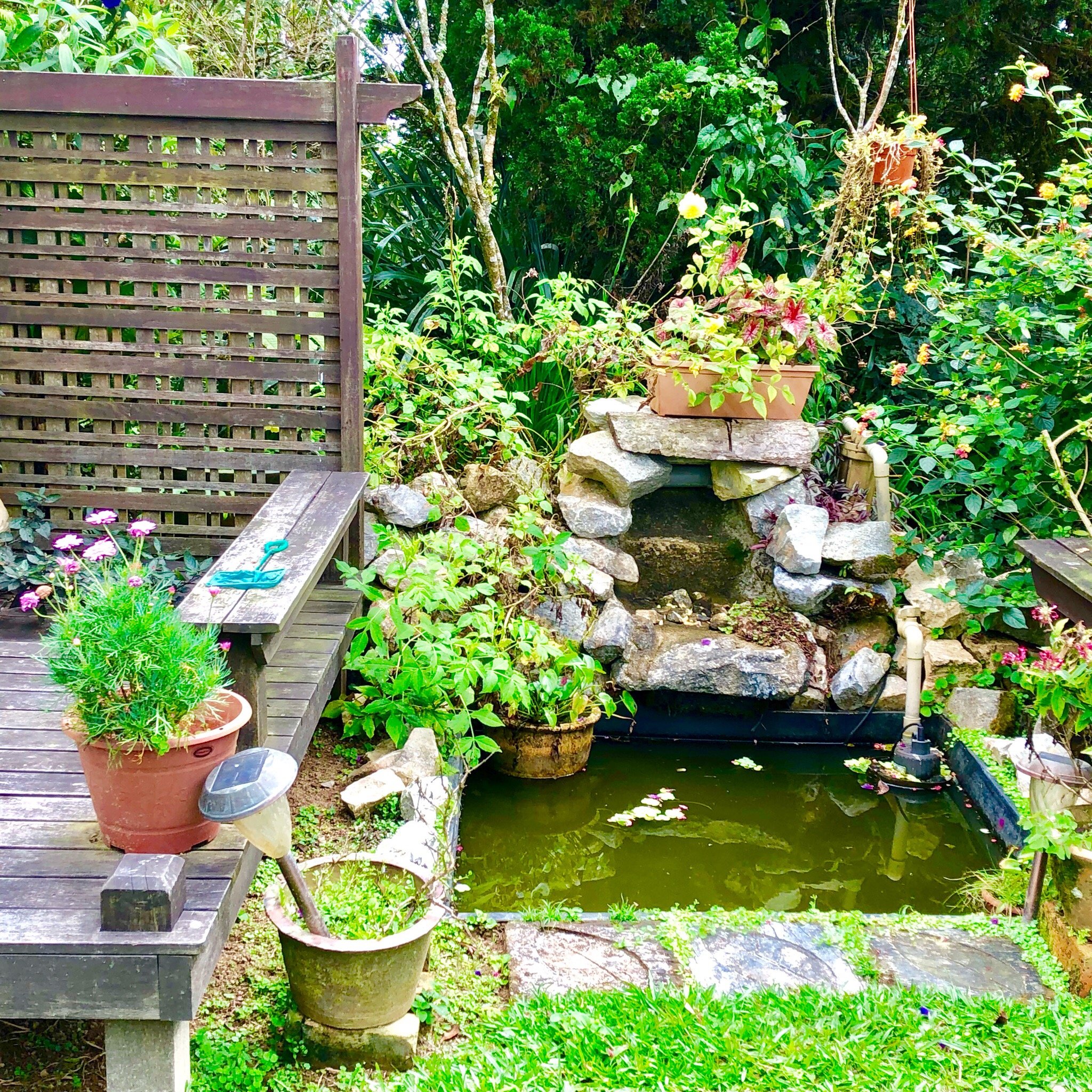 Stephen's Place B&B-官方