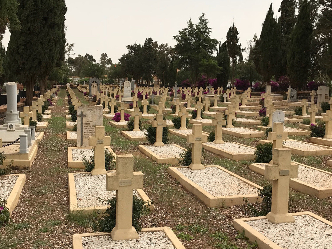 Cimitero Italiano Di Asmara景点图片