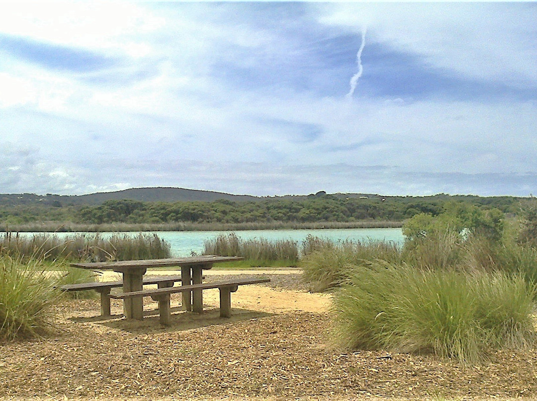 Anglesea Riverbank-安格尔西岛必去景点