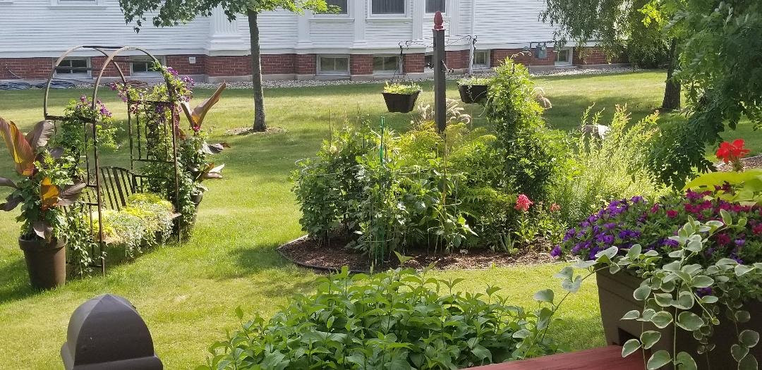 Le Chateau The Manor Bed and Breakfast主图