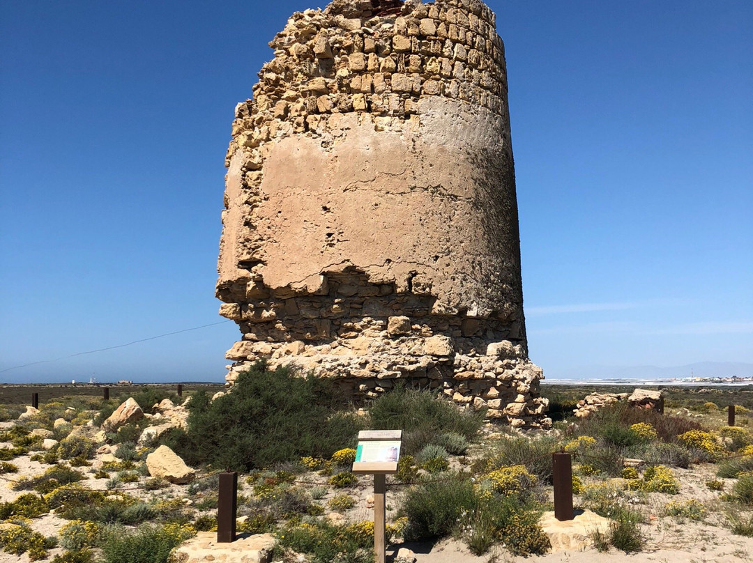Torre de Cerrillos景点图片