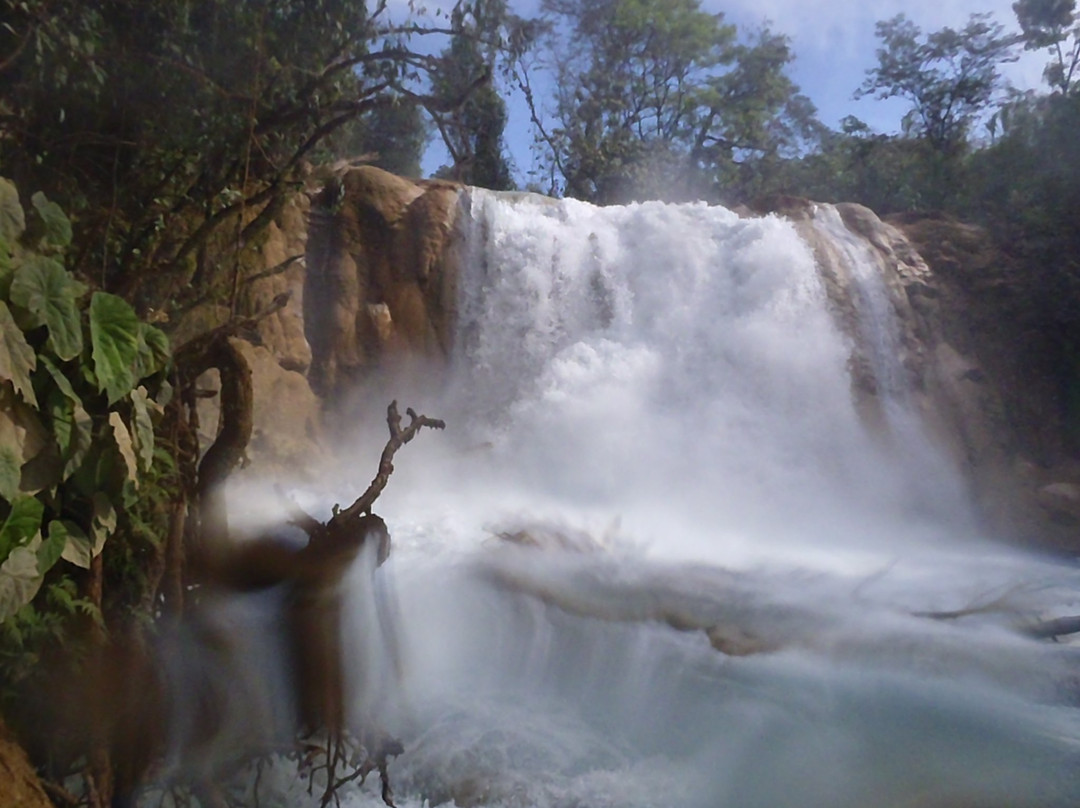 Con Ciencia Indígena-帕伦克必去景点