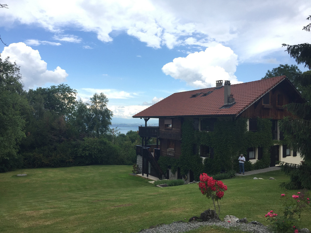 Domaine de l'Olifant主图