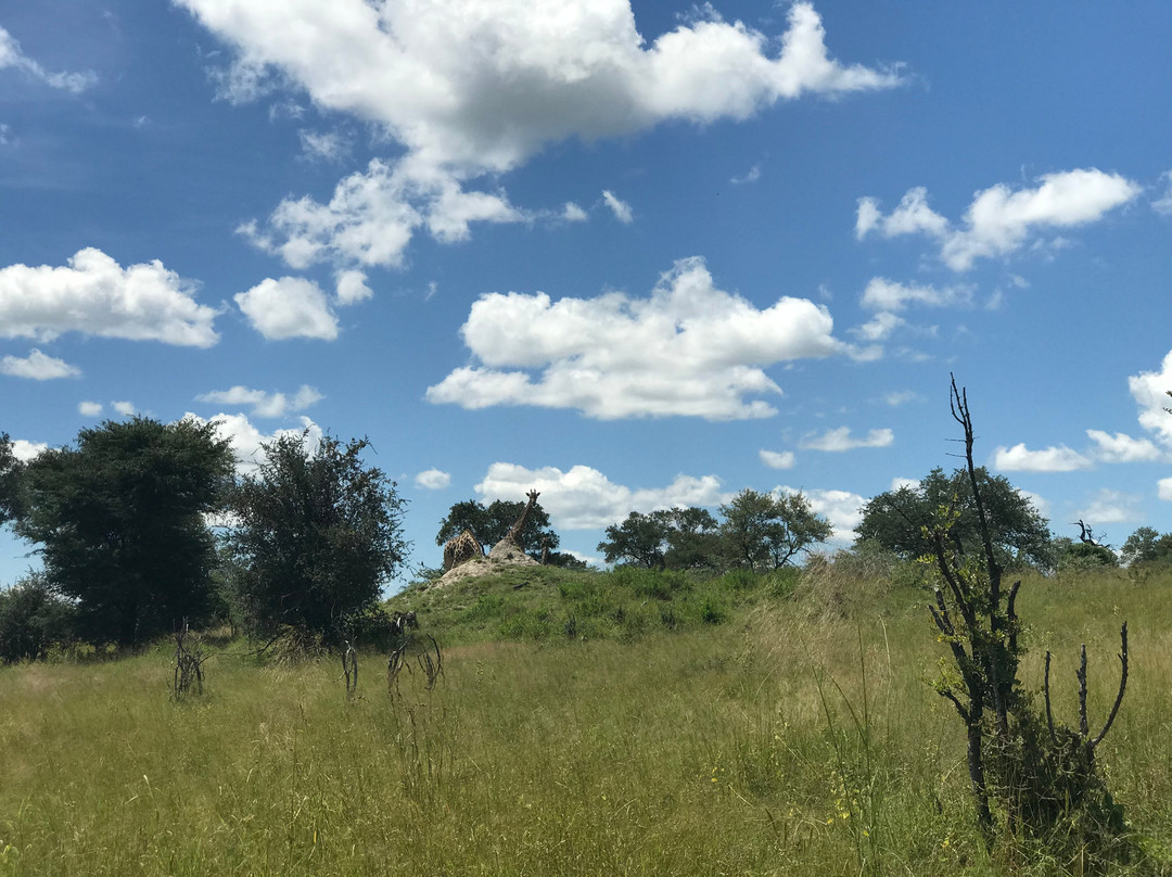Zululand Explorers景点图片