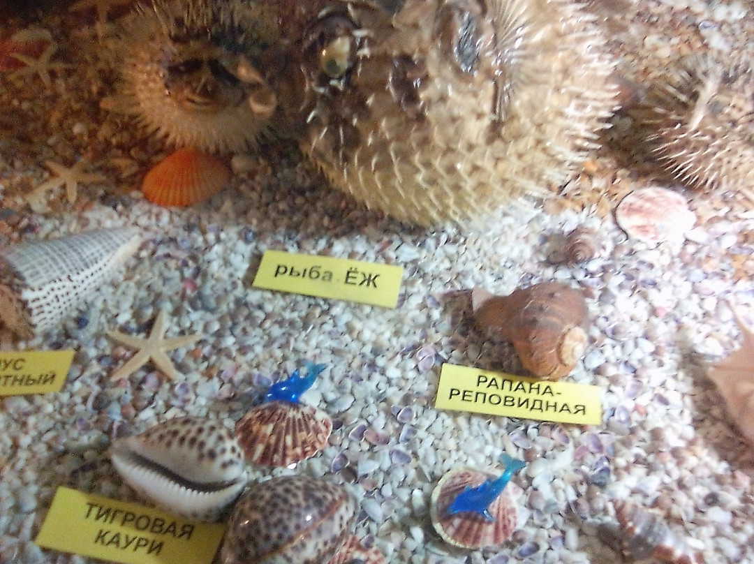 The Bathyscaphe - Marine Aquarium-阿纳帕必去景点