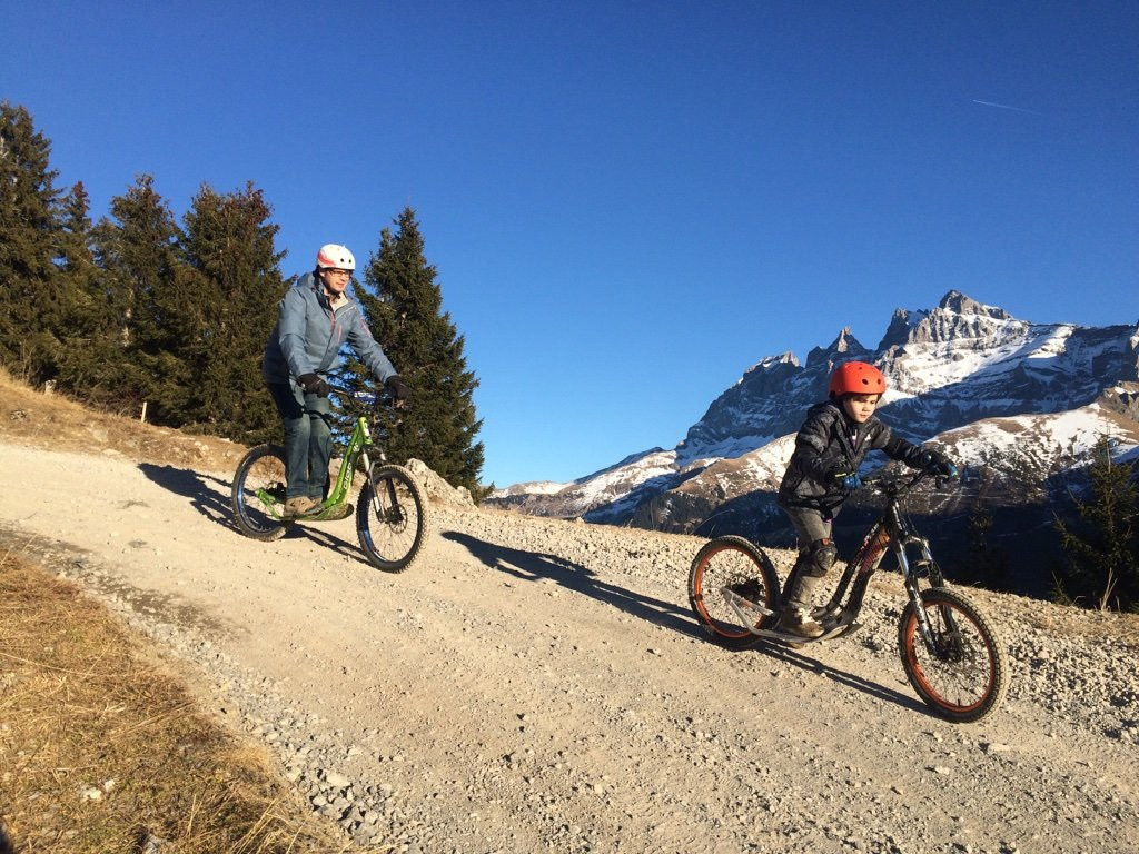 Swiss Ride Activity景点图片