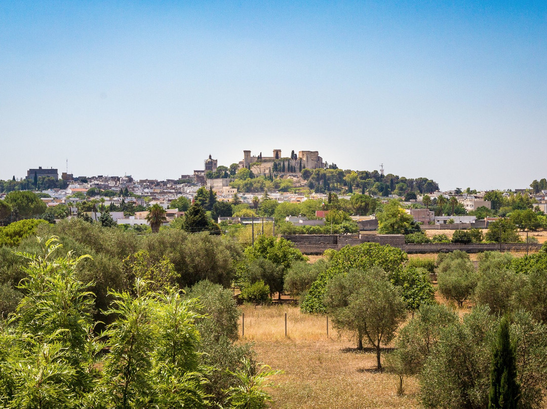 B&B All'Ombra del Castello主图