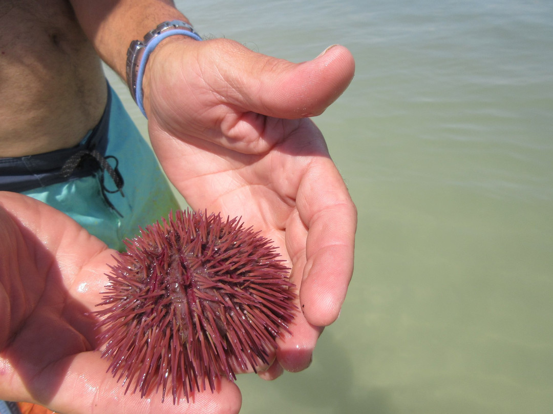 Bay Park On Sand Key-克利尔沃特必去景点