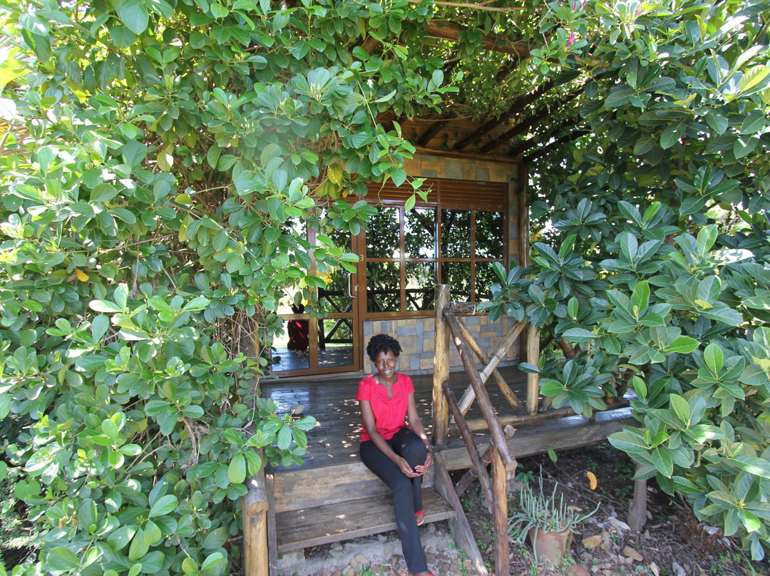 Explorer Resort & Marina主图