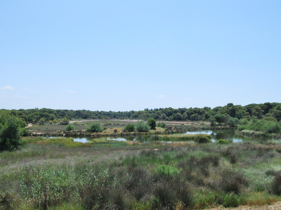 Verde al Mare Hotel主图