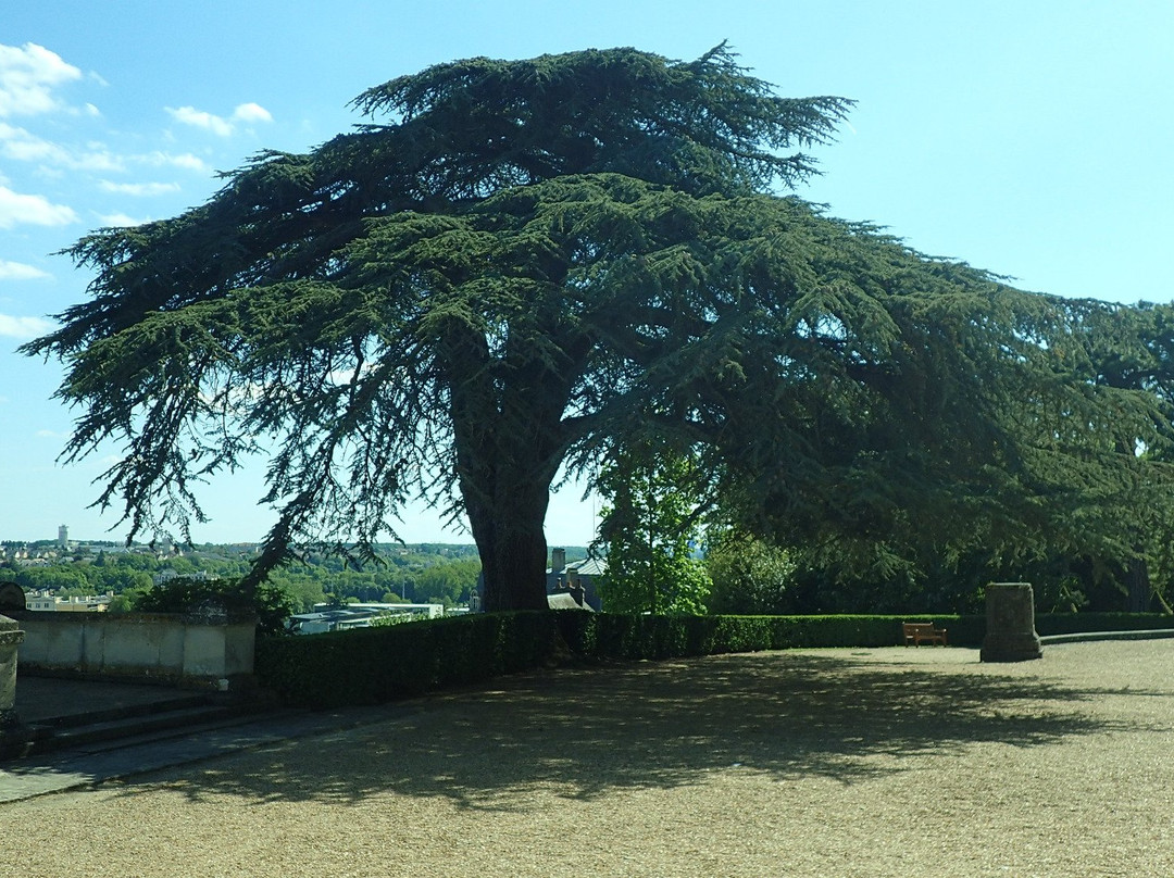 Domaine Royal de Dreux景点图片