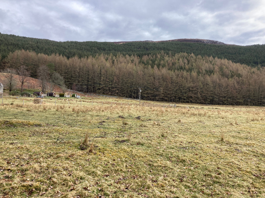 Craskie Glamping Pods