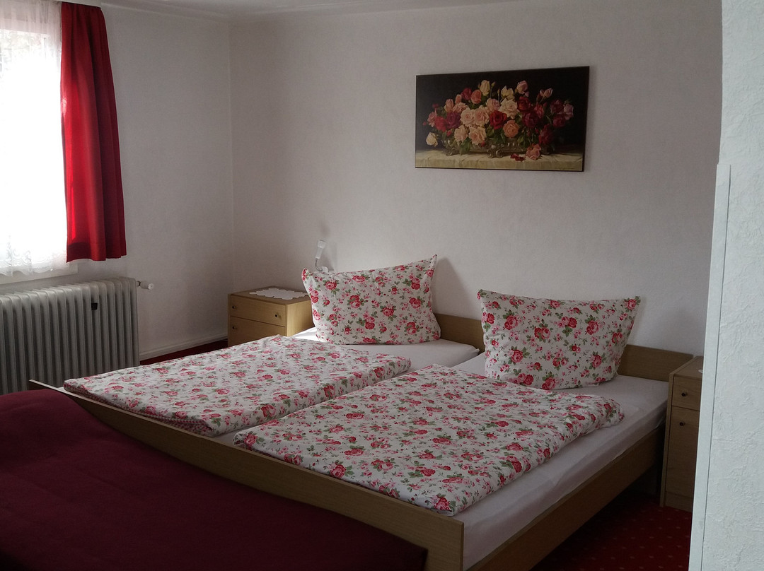 Hotel Zum Wilden Mann主图