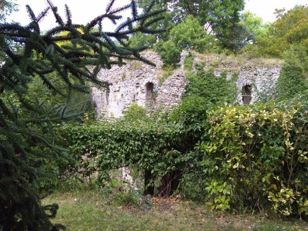 Le Vieux Chateau景点图片