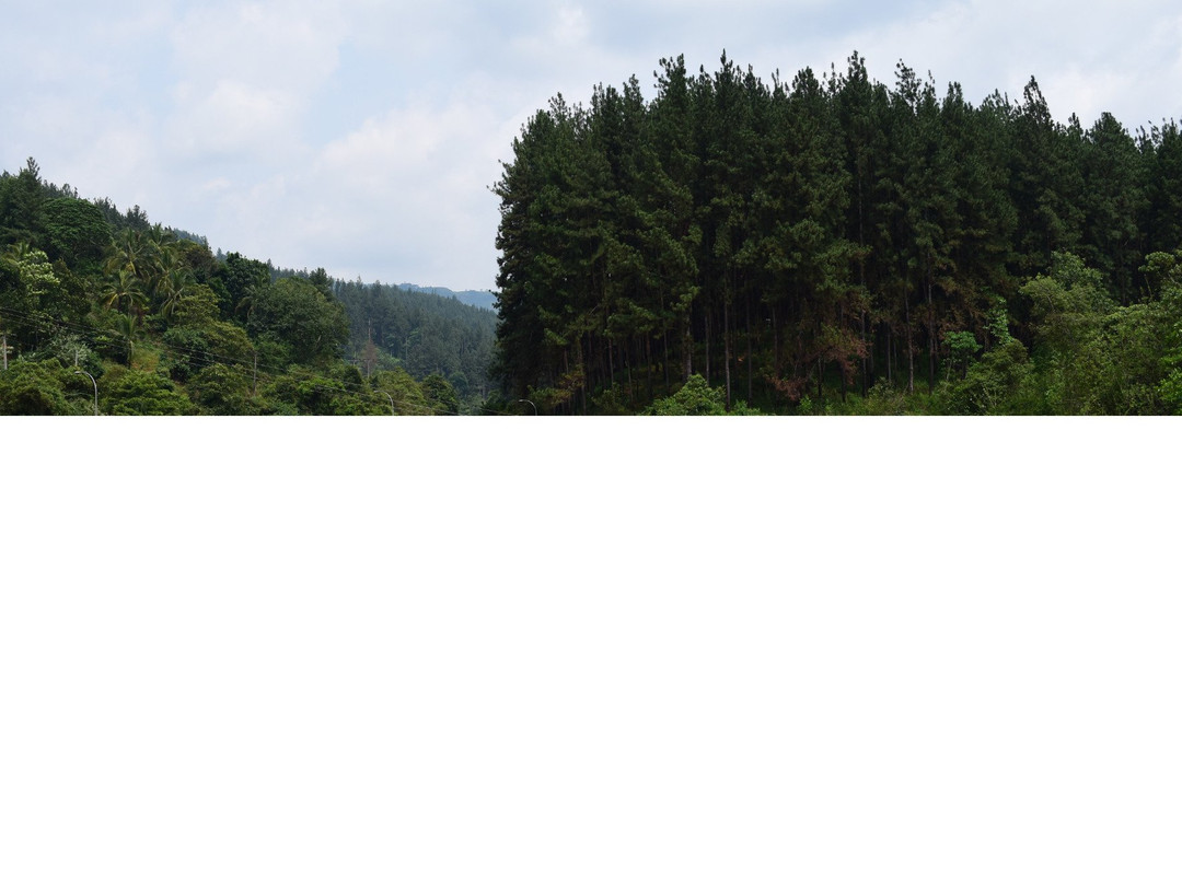 Sudugala Falls-Nawalapitiya必去景点