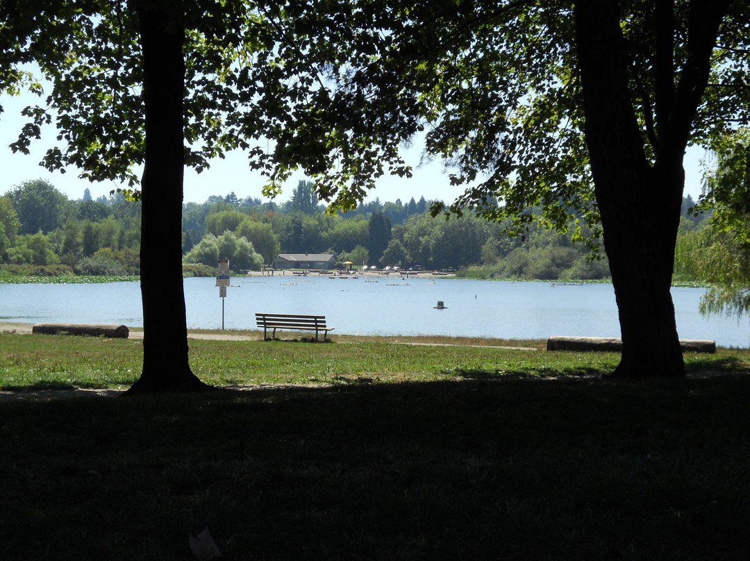 John Hendry (Trout Lake) Park景点图片