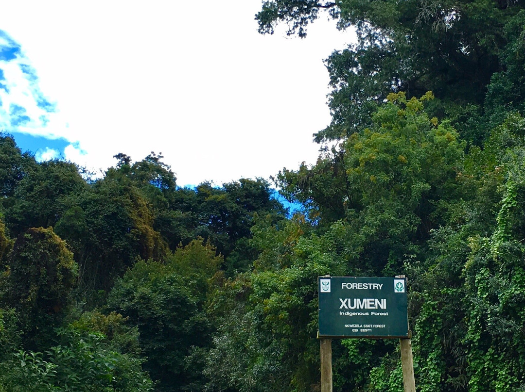 Xumeni Forest-安德堡必去景点