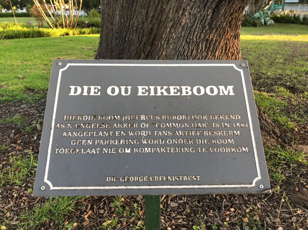 Dutch Reformed Mother Church-乔治必去景点