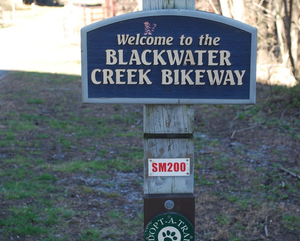 Blackwater Creek Trail景点图片