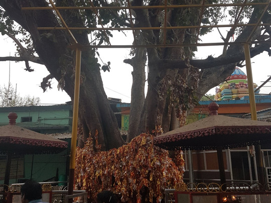 Majhighariani Temple-Rayagada必去景点