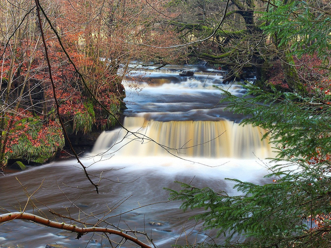 Calderglen Country Park景点图片