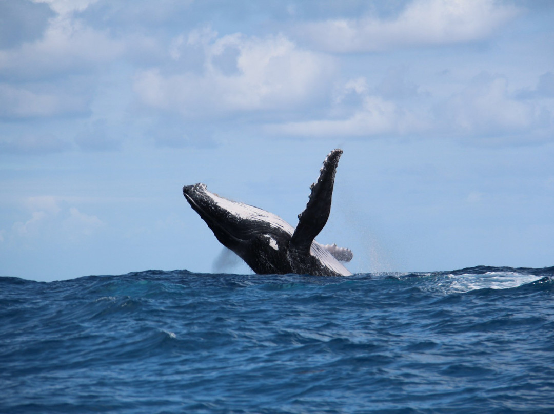 Hotel Club Paradise主图