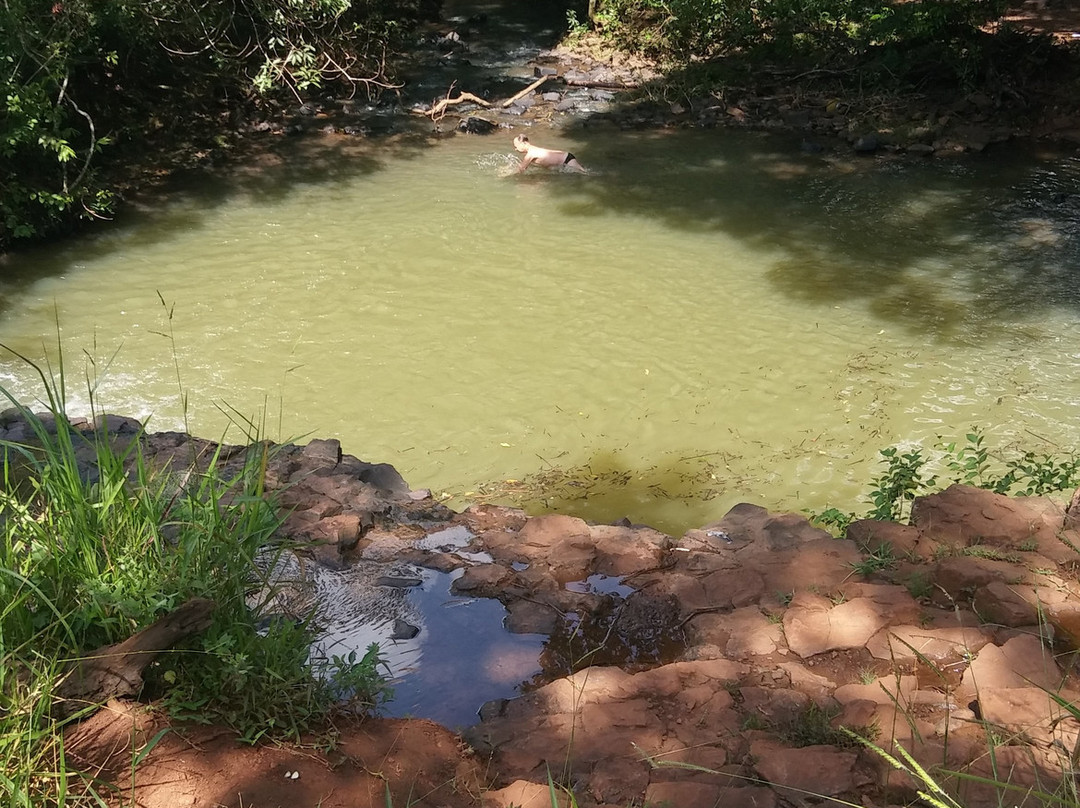 Mata do Ipê景点图片