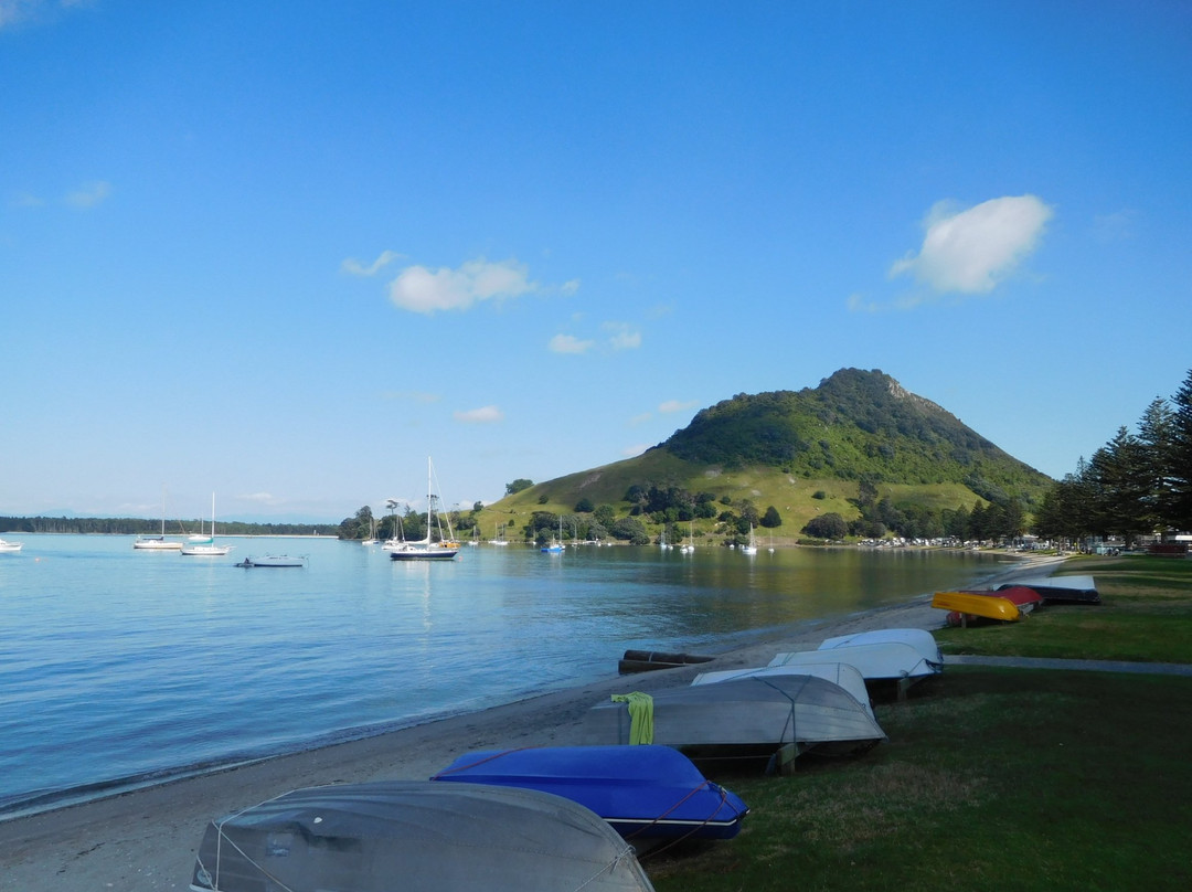 Cruise Tours Tauranga-陶兰加必去景点
