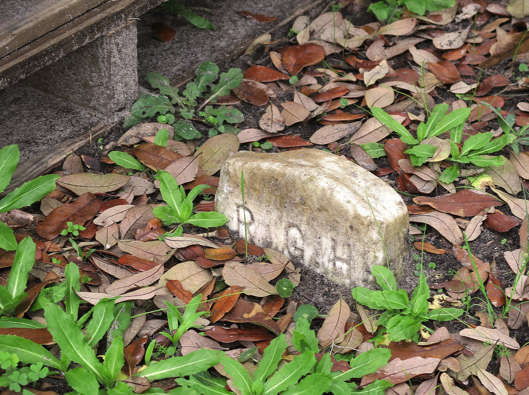 Old Biloxi Cemetery景点图片
