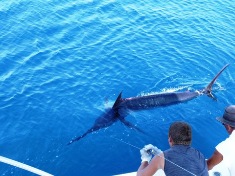 Mike's Fishing & Tours-瓦拉塔港必去景点