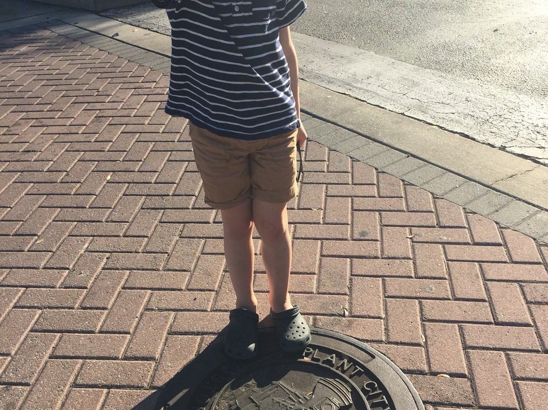 Plant City Train Viewing Platform-普兰特城必去景点