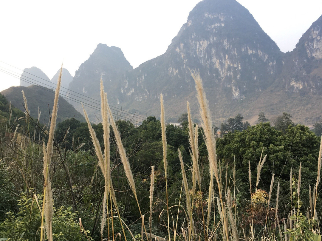 大风光山景点图片