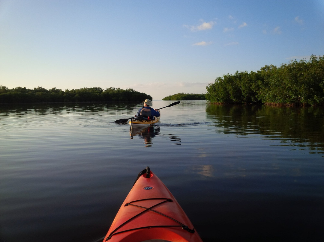 Great Calusa Blueway景点图片