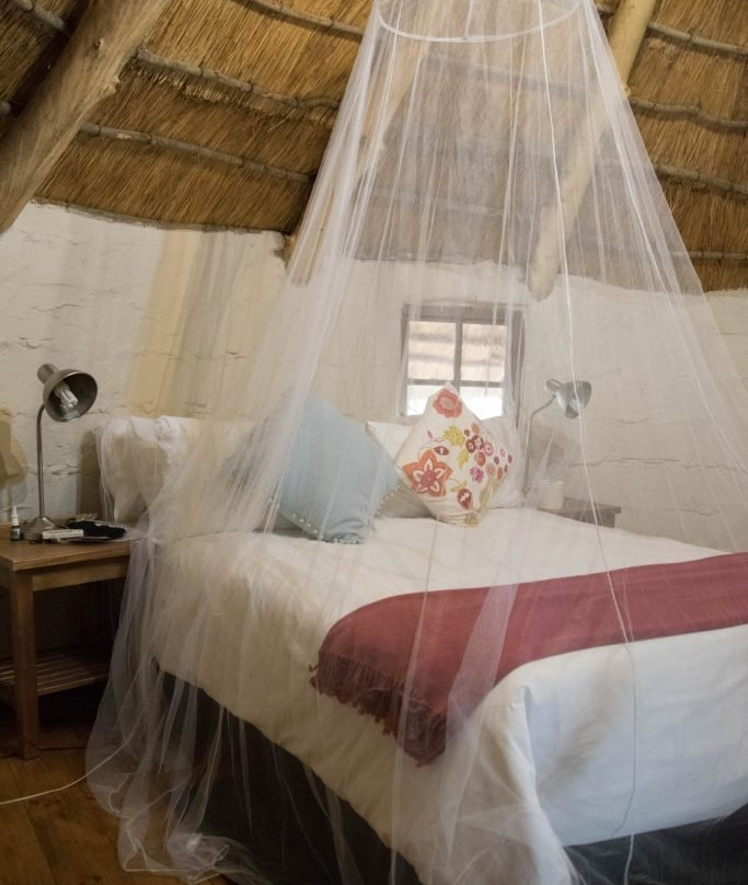 Bingelela Lodge主图