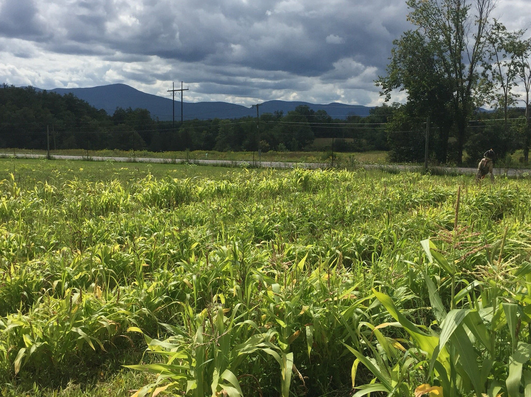 Hollowbrook Inn & Restaurant主图