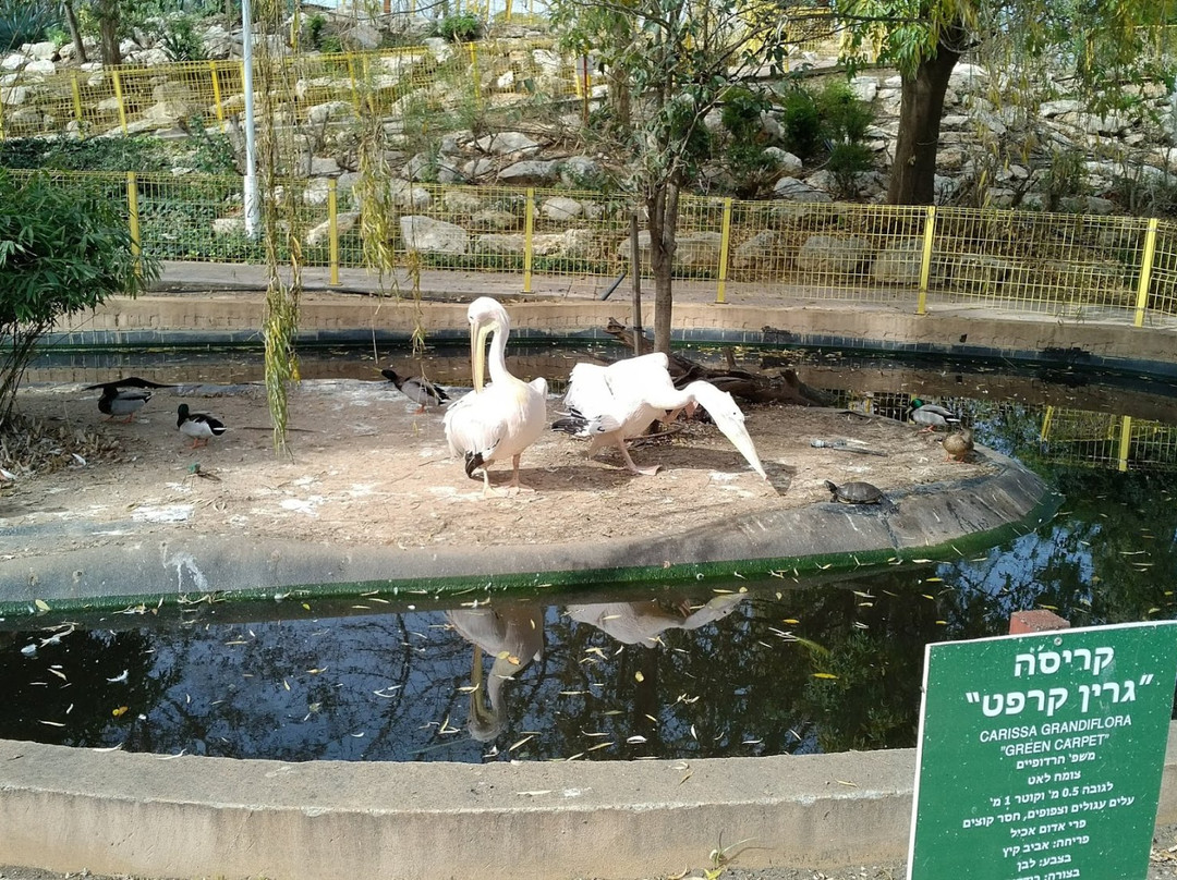 Nahariya Botanic Garden and Zoo景点图片
