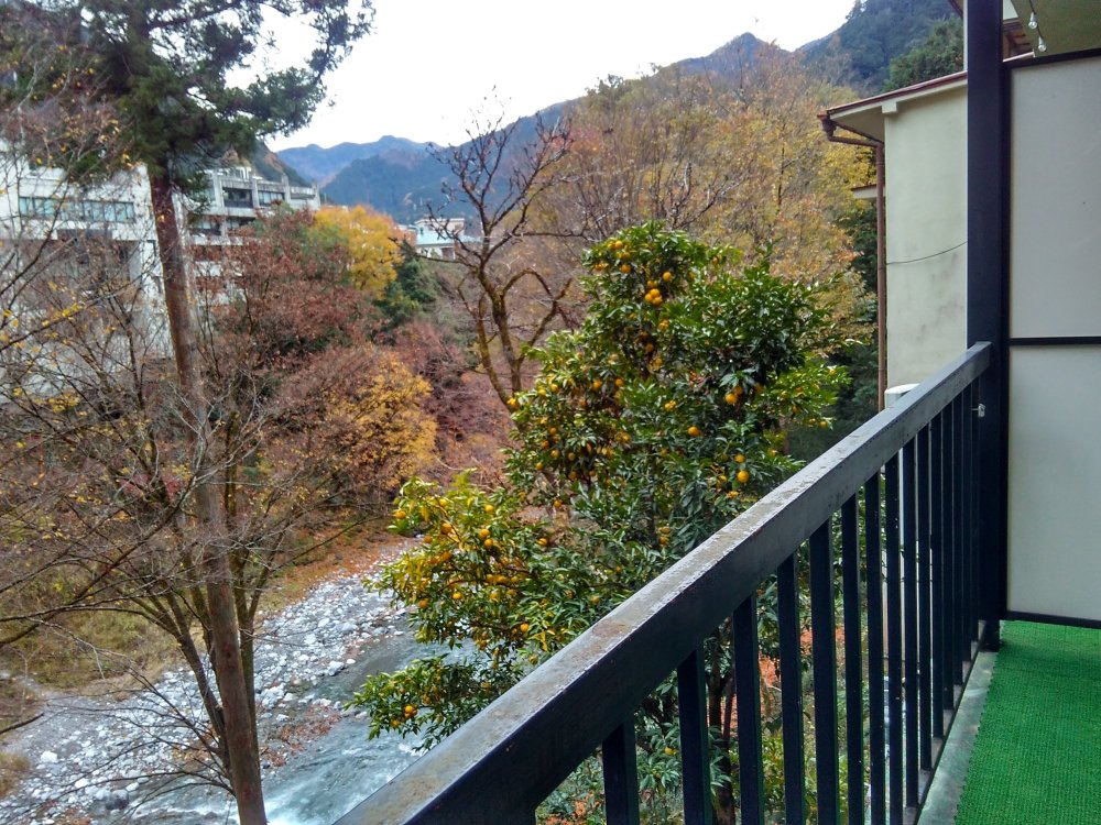 奥多摩温泉乡观光庄旅馆-酒店景观