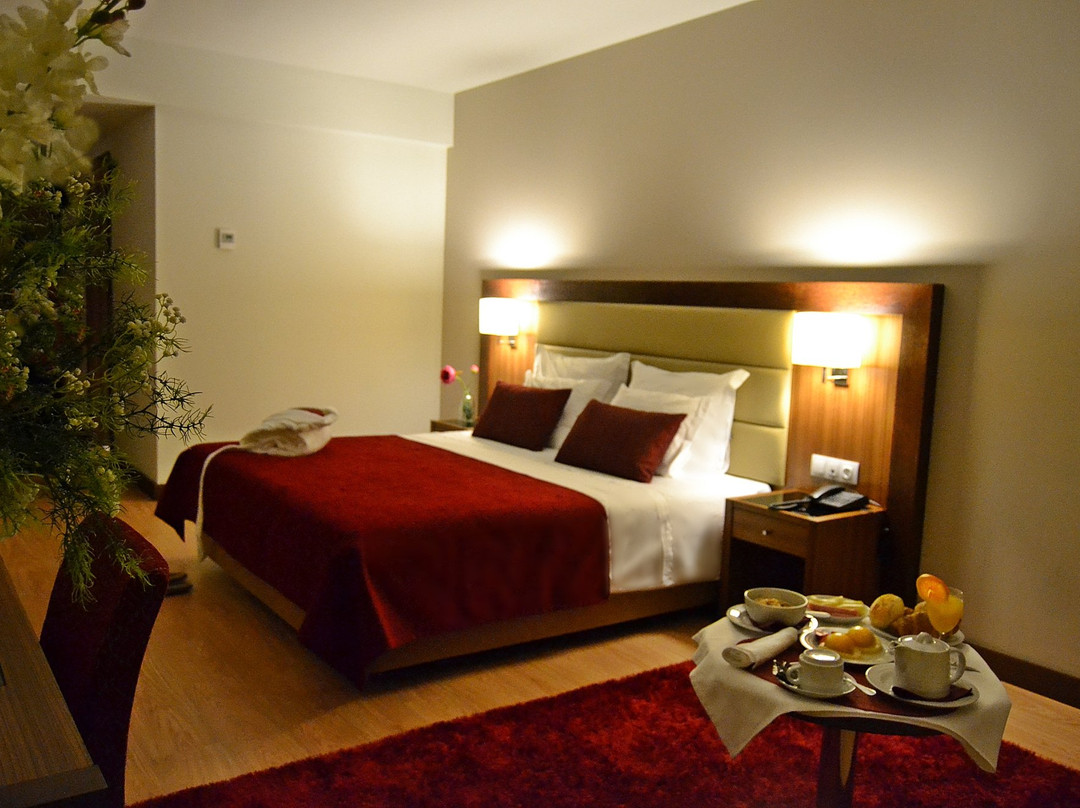 Placido Hotel Douro Tabuaco主图
