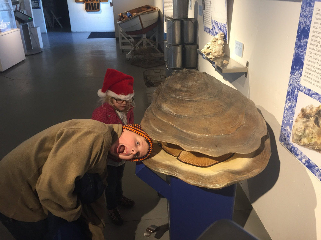 Annapolis Maritime Museum & Park-安纳波利斯必去景点