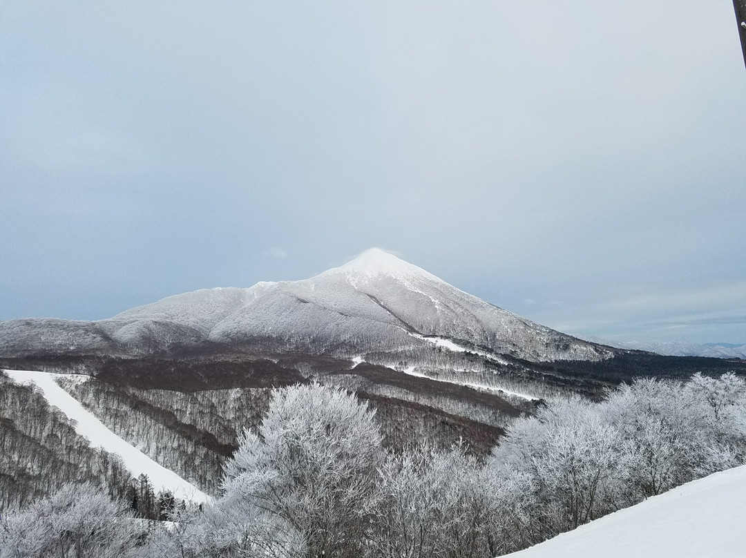 Hoshino Resorts Nekoma Mountain景点图片