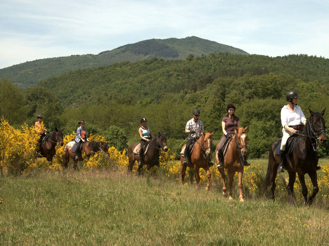Prategiano - Horse Riding Holiday Tuscany景点图片