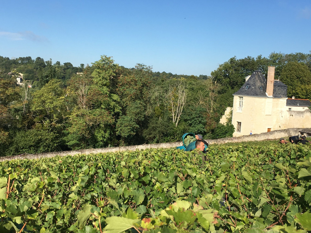 Domaine Vincent Carême景点图片