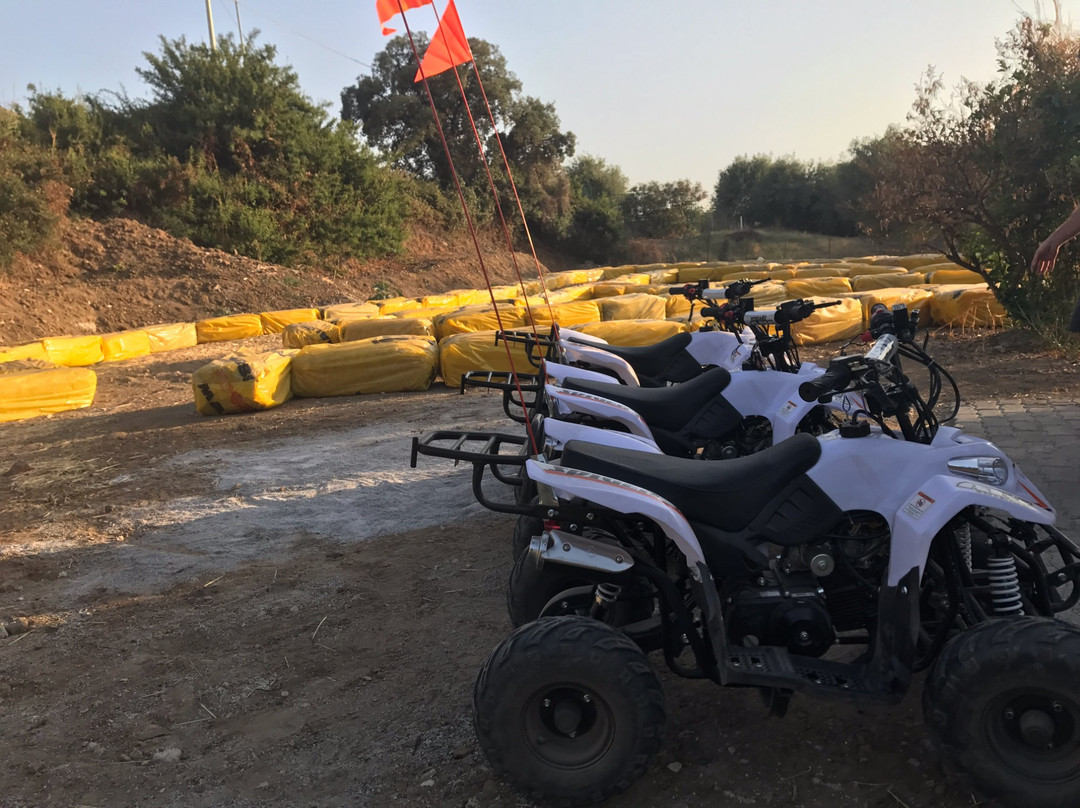 Quad Park景点图片