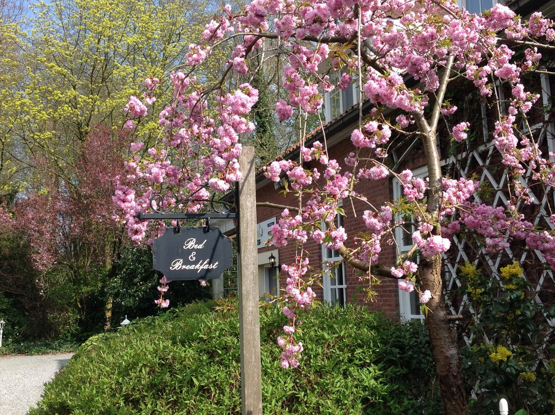 B&B Domaine Haute Bruyere