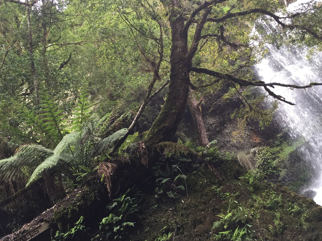 Bridal Veil Falls-Moina必去景点