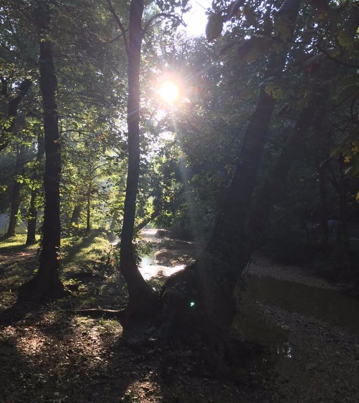 Niangua River Oasis-Day Rentals-莱巴嫩必去景点